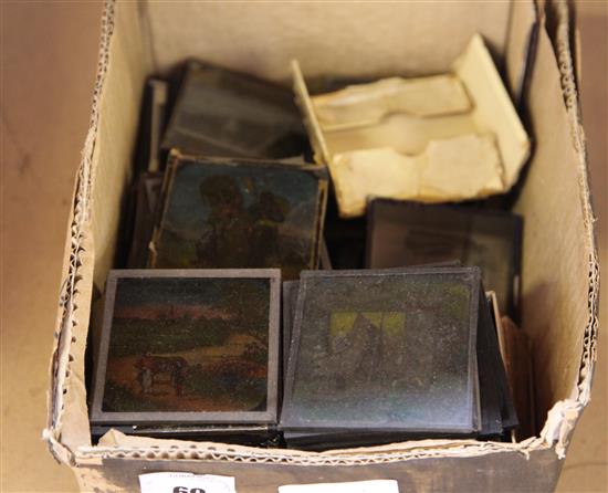 Glass slides(-)